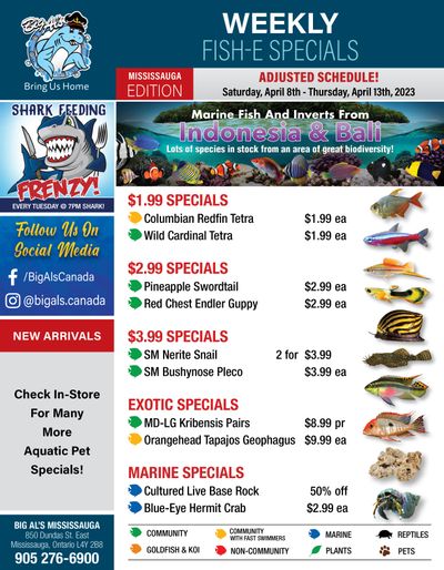 Big Al's (Mississauga) Weekly Specials April 8 to 13