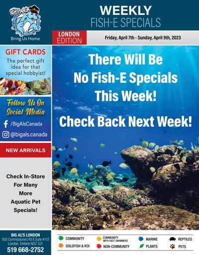 Big Al's (London) Weekend Specials April 7 to 9 Big Al's (London) Weekend Specials April 7 to 9