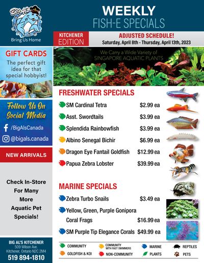 Big Al's (Kitchener) Weekly Specials April 8 to 13