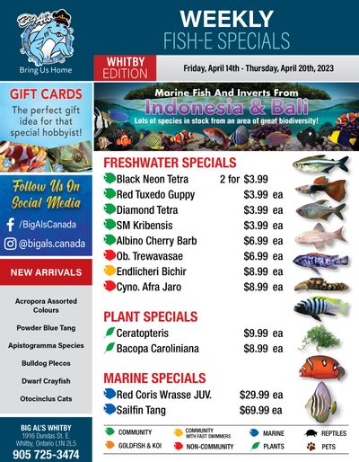 Big Al's (Whitby) Weekly Specials April 14 to 20