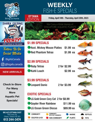 Big Al's (Ottawa East) Weekly Specials April 14 to 20
