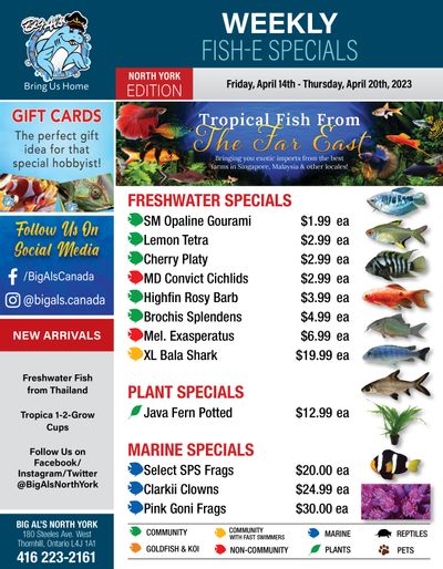 Big Al's (North York) Weekly Specials April 14 to 20