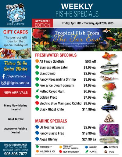Big Al's (Newmarket) Weekly Specials April 14 to 20