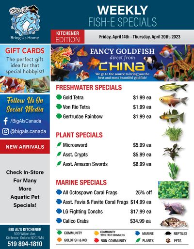 Big Al's (Kitchener) Weekly Specials April 14 to 20