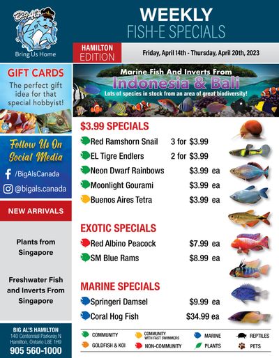 Big Al's (Hamilton) Weekly Specials April 14 to 20 Big Al's (Hamilton) Weekly Specials April 14 to 20