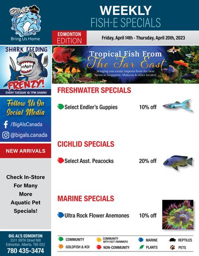 Big Al's (Edmonton) Weekly Specials April 14 to 20