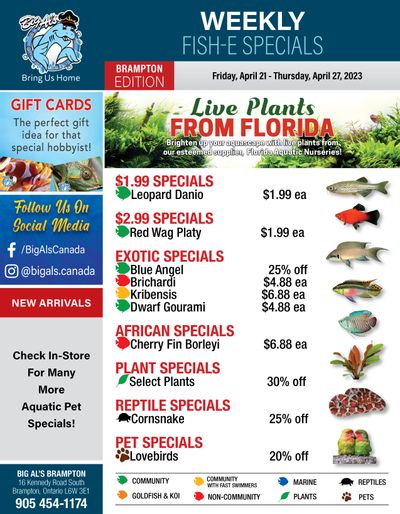 Big Al's (Brampton) Weekly Specials April 21 to 27