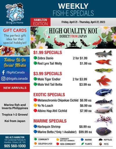 Big Al's (Hamilton) Weekly Specials April 21 to 27