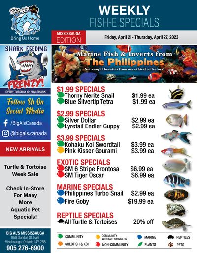 Big Al's (Mississauga) Weekly Specials April 21 to 27