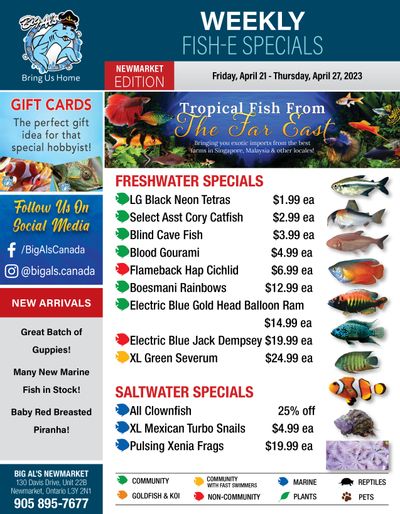 Big Al's (Newmarket) Weekly Specials April 21 to 27