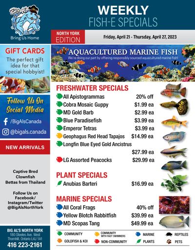 Big Al's (North York) Weekly Specials April 21 to 27