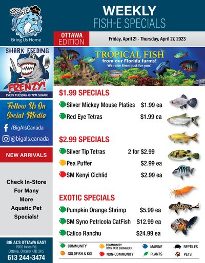 Big Al's (Ottawa East) Weekly Specials April 21 to 27