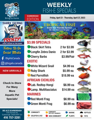 Big Al's (Scarborough) Weekly Specials April 21 to 27