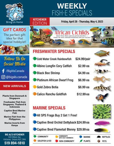 Big Al's (Kitchener) Weekly Specials April 28 to May 4
