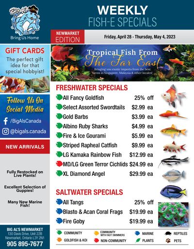 Big Al's (Newmarket) Weekly Specials April 28 to May 4