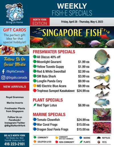 Big Al's (North York) Weekly Specials April 28 to May 4