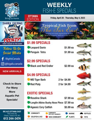 Big Al's (Ottawa East) Weekly Specials April 28 to May 4