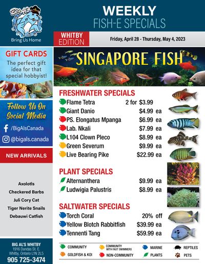 Big Al's (Whitby) Weekly Specials April 28 to May 4