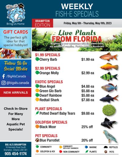 Big Al's (Brampton) Weekly Specials May 5 to 11 Big Al's (Brampton) Weekly Specials May 5 to 11