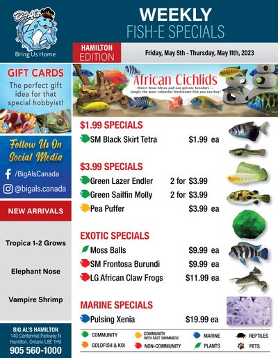Big Al's (Hamilton) Weekly Specials May 5 to 11
