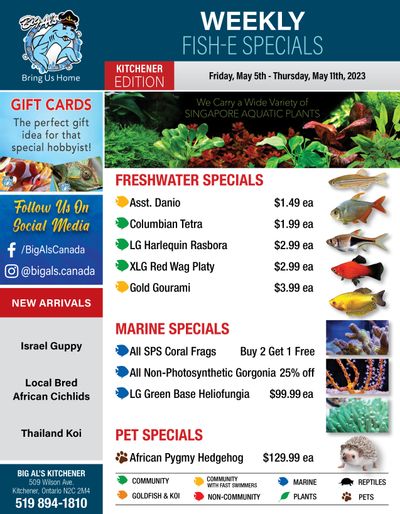 Big Al's (Kitchener) Weekly Specials May 5 to 11