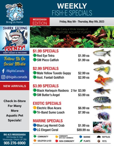Big Al's (Mississauga) Weekly Specials May 5 to 11