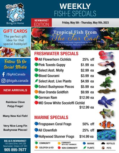 Big Al's (Newmarket) Weekly Specials May 5 to 11