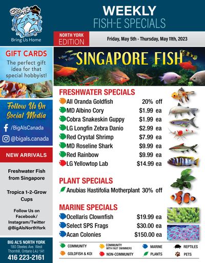 Big Al's (North York) Weekly Specials May 5 to 11