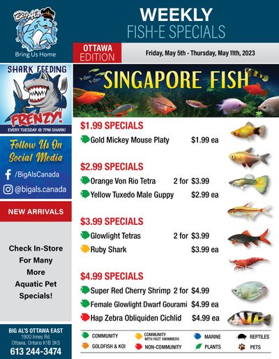 Big Al's (Ottawa East) Weekly Specials May 5 to 11