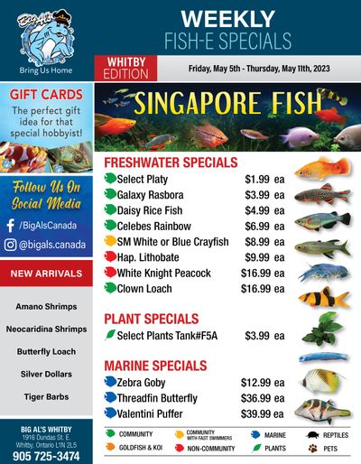 Big Al's (Whitby) Weekly Specials May 5 to 11