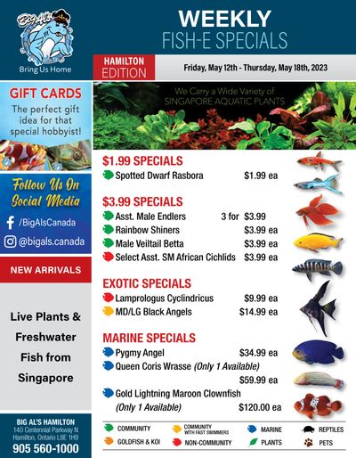 Big Al's (Hamilton) Weekly Specials May 12 to 18 Big Al's (Hamilton) Weekly Specials May 12 to 18
