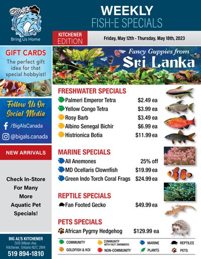 Big Al's (Kitchener) Weekly Specials May 12 to 18