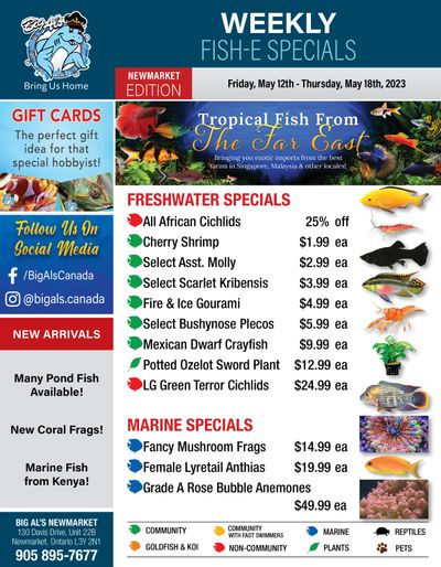 Big Al's (Newmarket) Weekly Specials May 12 to 18