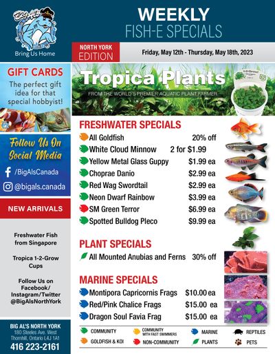 Big Al's (North York) Weekly Specials May 12 to 18