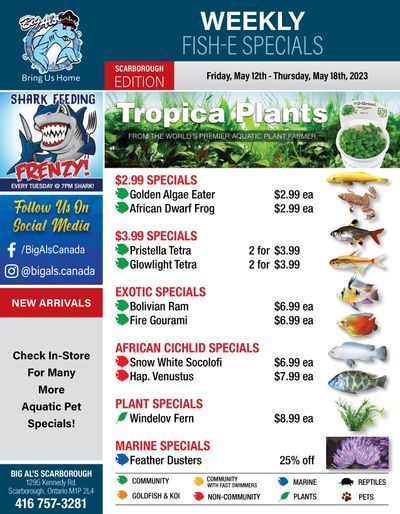 Big Al's (Scarborough) Weekly Specials May 12 to 18