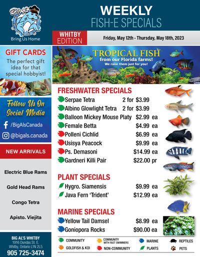 Big Al's (Whitby) Weekly Specials May 12 to 18