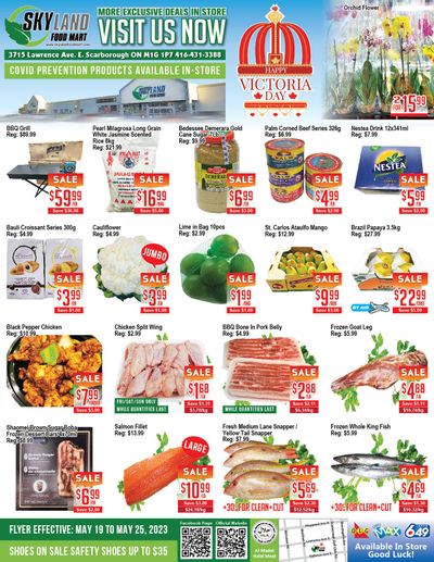 Skyland Food Mart Flyer May 19 to 25