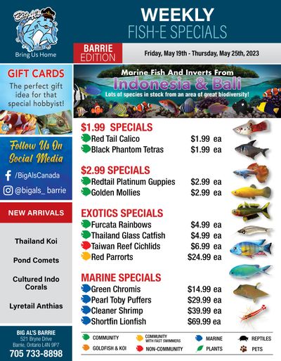 Big Al's (Barrie) Weekly Specials May 19 to 25