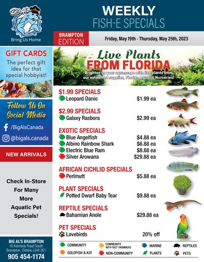 Big Al's (Brampton) Weekly Specials May 19 to 25