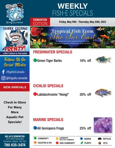 Big Al's (Edmonton) Weekly Specials May 19 to 25