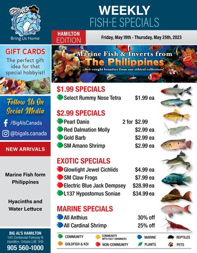 Big Al's (Hamilton) Weekly Specials May 19 to 25