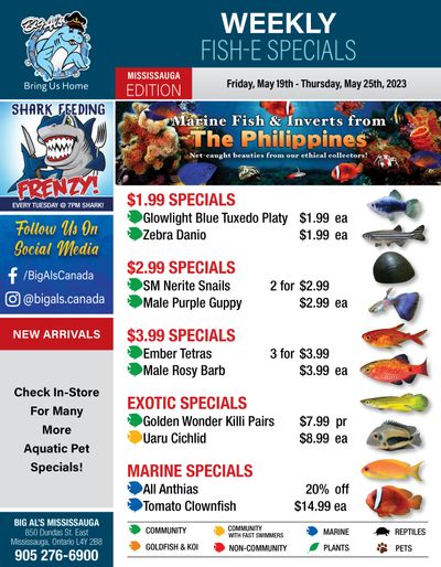 Big Al's (Mississauga) Weekly Specials May 19 to 25