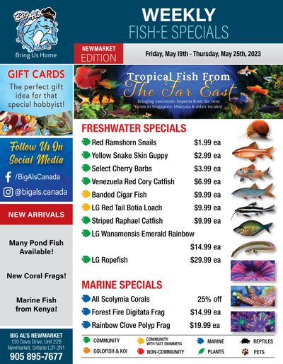 Big Al's (Newmarket) Weekly Specials May 19 to 25