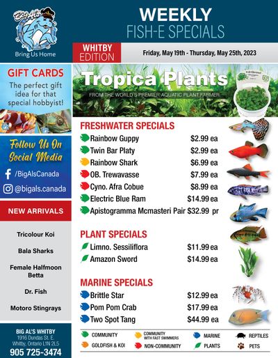 Big Al's (Whitby) Weekly Specials May 19 to 25