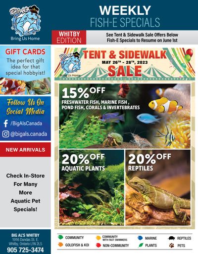 Big Al's (Whitby) Tent & Sidwalk Sale May 26 to 28
