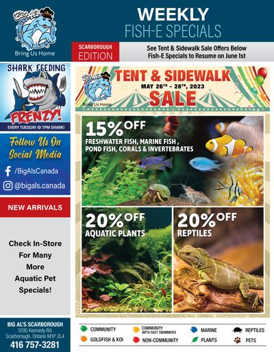Big Al's (Scarborough) Tent & Sidwalk Sale May 26 to 28