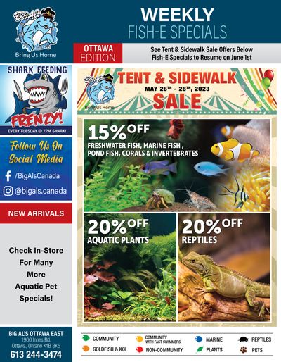 Big Al's (Ottawa East) Tent & Sidwalk Sale May 26 to 28