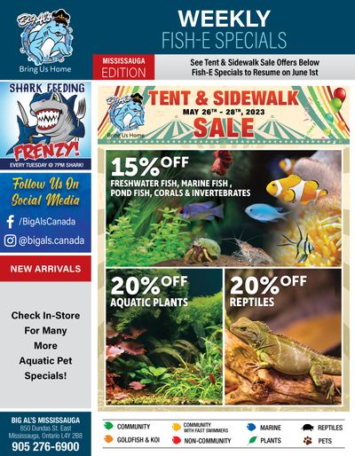 Big Al's (Mississauga) Tent & Sidwalk Sale May 26 to 28