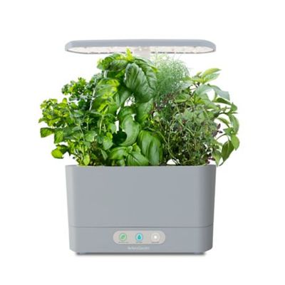 AeroGarden™ Harvest with Gourmet Herb Seed Pod Kit On Sale for $ 119.99 ( Save $ 80.00 ) at Bed Bath And Beyond Canada