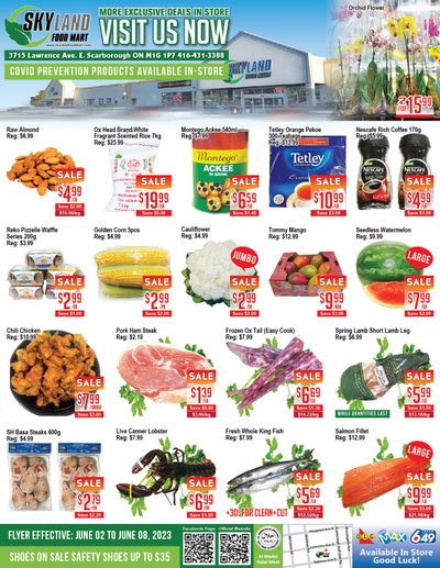 Skyland Food Mart Flyer June 2 to 8